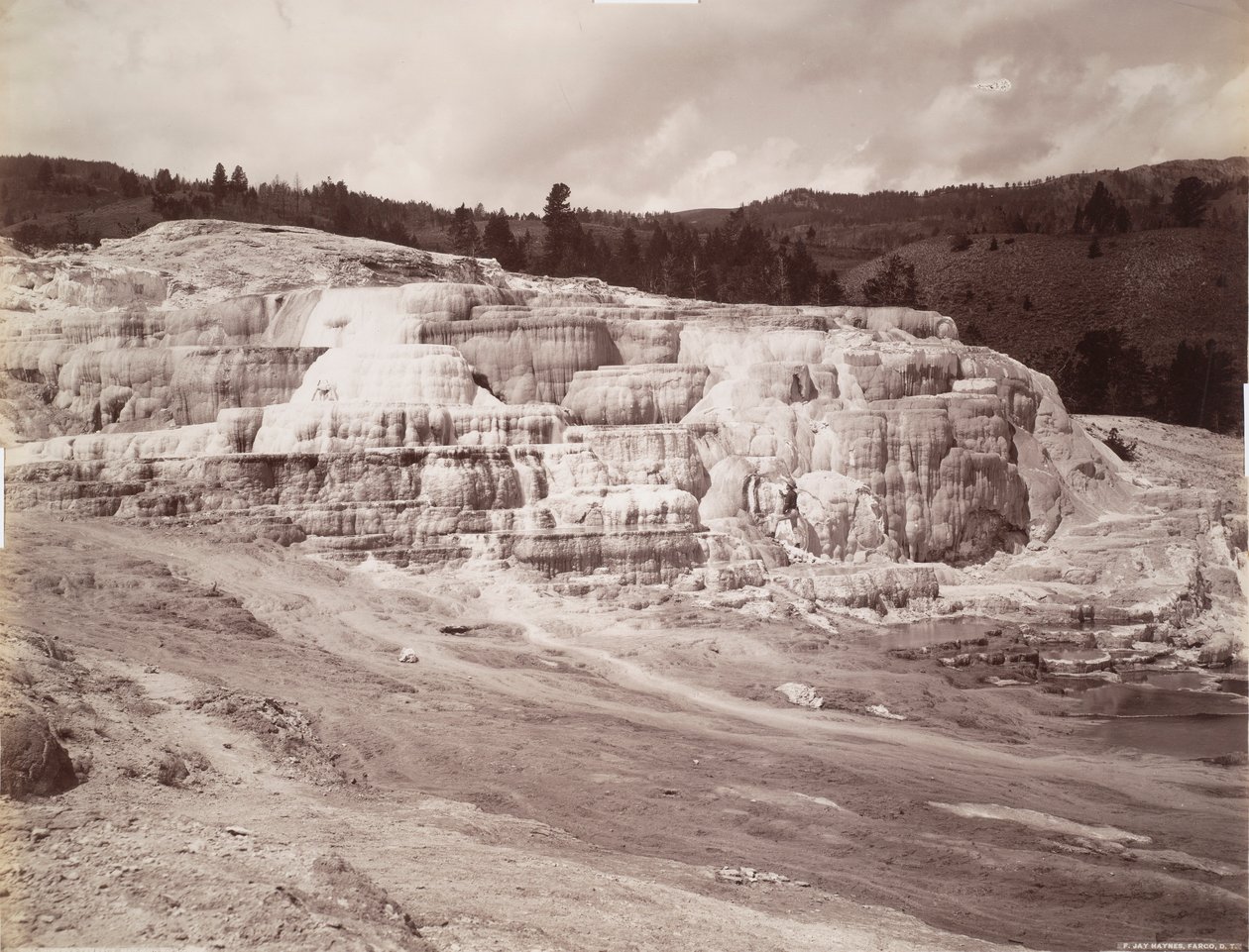 Minerva Terrace, Mammoth Hot Springs od Frank Jay Haynes