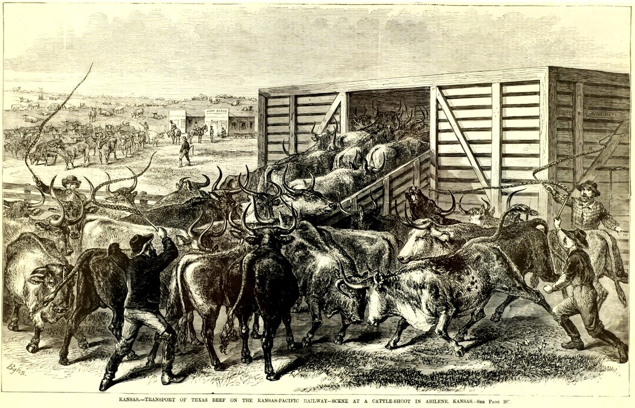 Cattle Chute v Abilene, Kansas, c. 1871 (rytina) od Frank Leslie