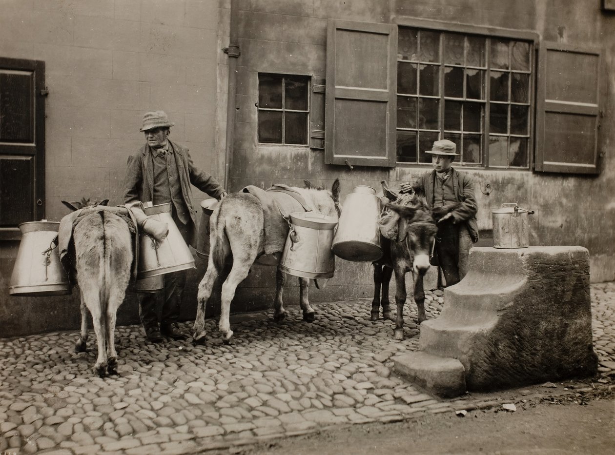 Mléční osli, c. 1890. od Frank Meadow Sutcliffe