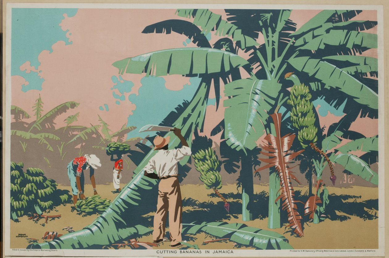 Krájení banánů na Jamajce (barva litho) od Frank Newbould