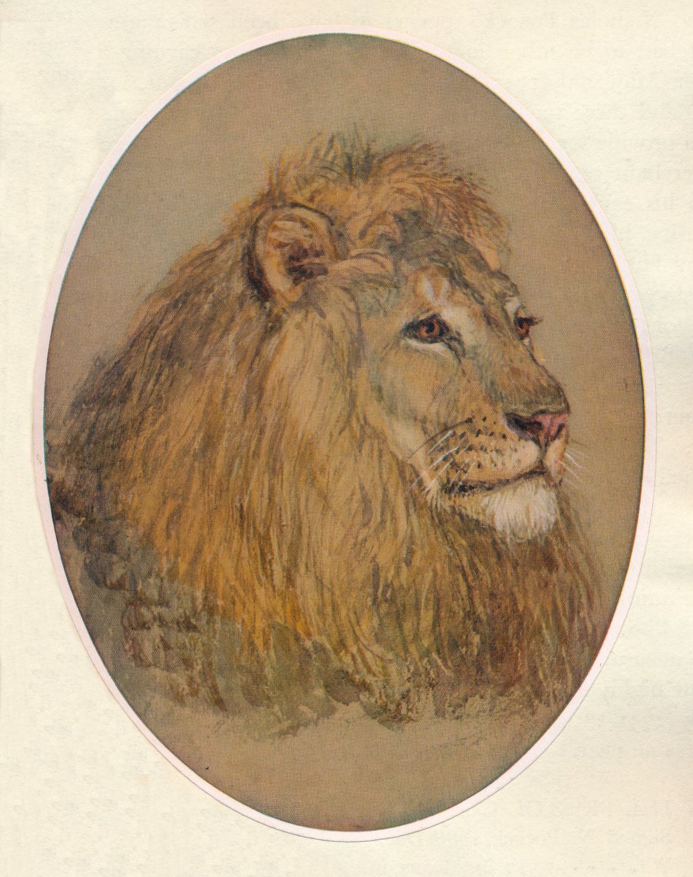 Lví hlava, c1896 od Frank Paton