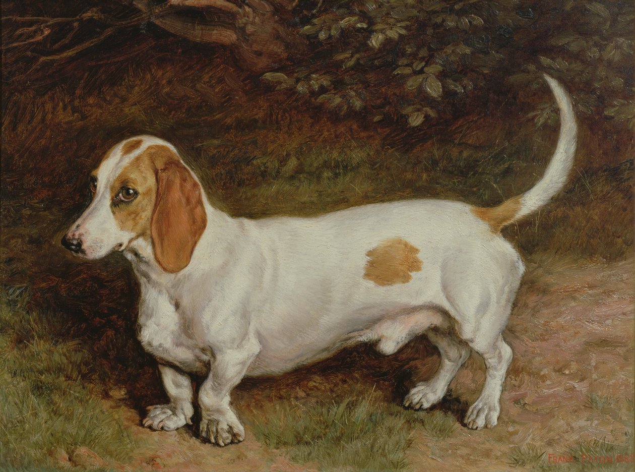 Můj oblíbený jezevčík, 1885 od Frank Paton