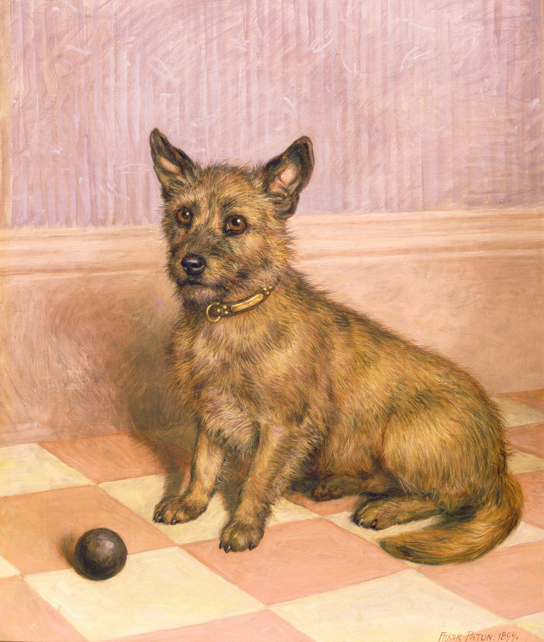 Waiting to Play, Cairn teriér s míčem (olej) od Frank Paton