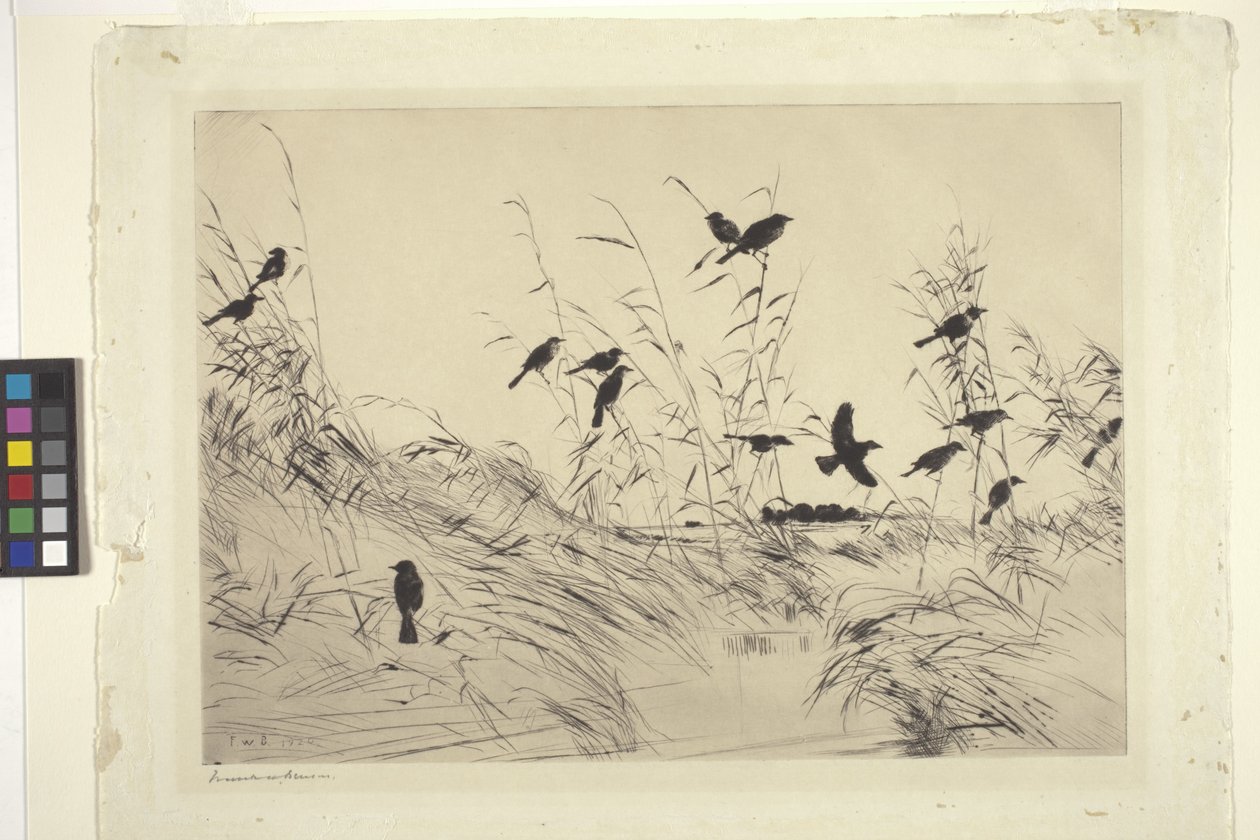 Kosi a nálety (inkoust na papíře) od Frank Weston Benson