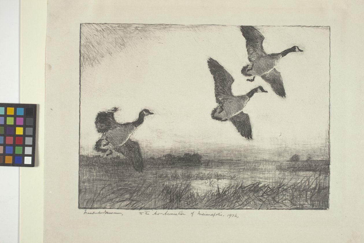 Tři husy (inkoust na papíře) od Frank Weston Benson
