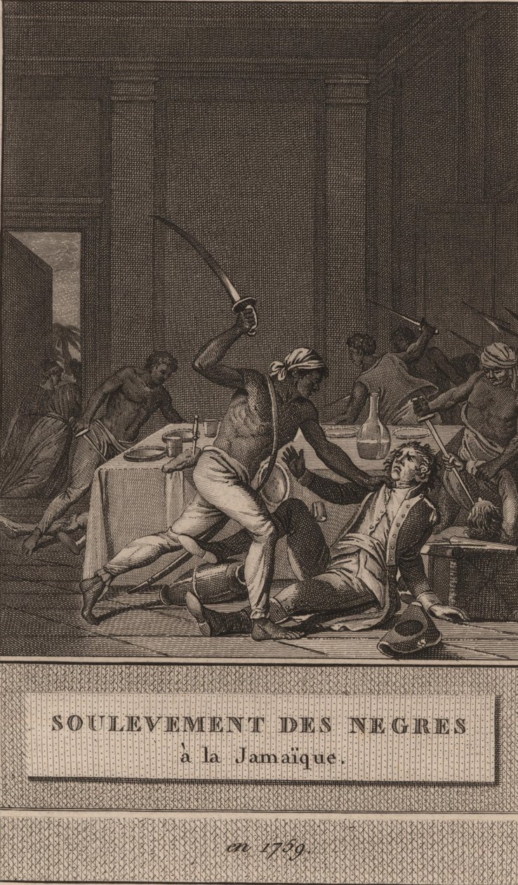 Povstání černých otroků na Jamajce v roce 1760, 1800. od François Anne David
