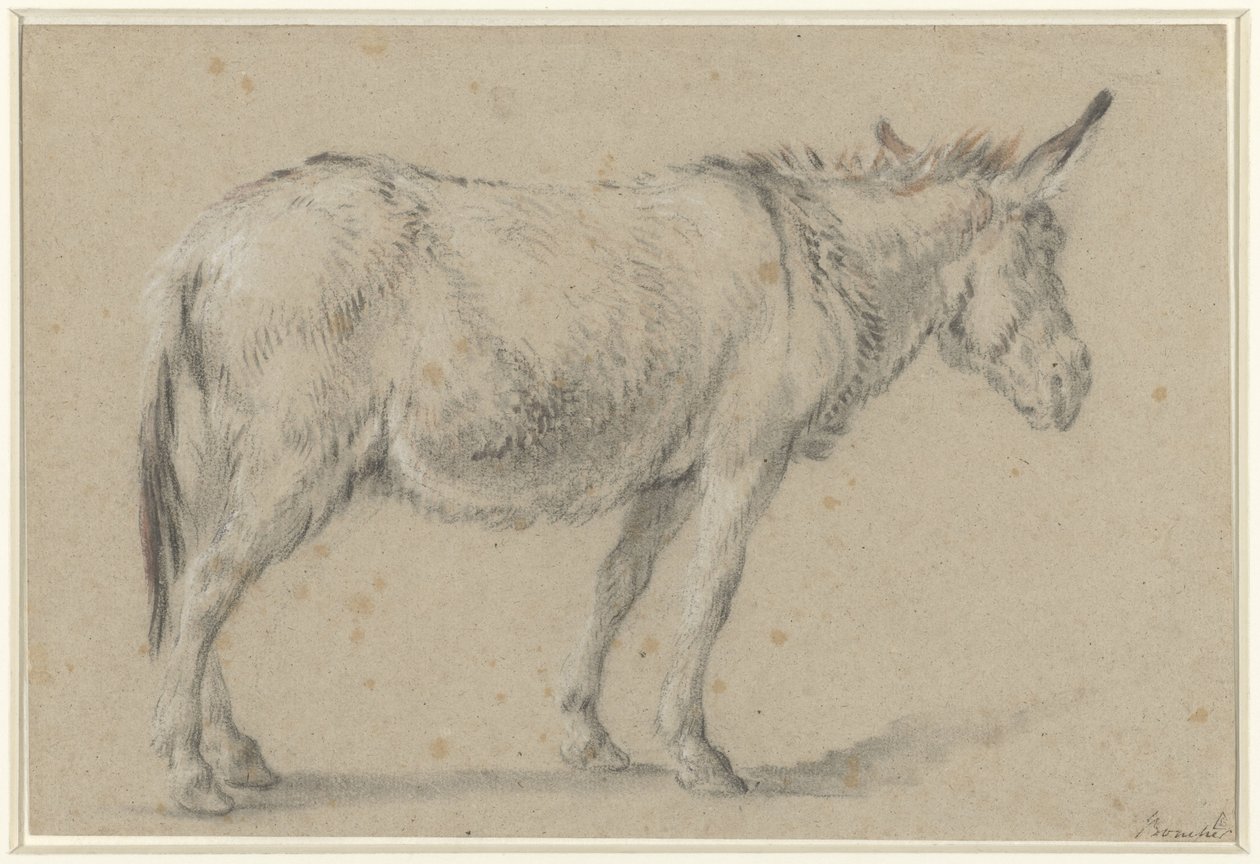 Stojící osel, čelem doprava od François Boucher (possibly)