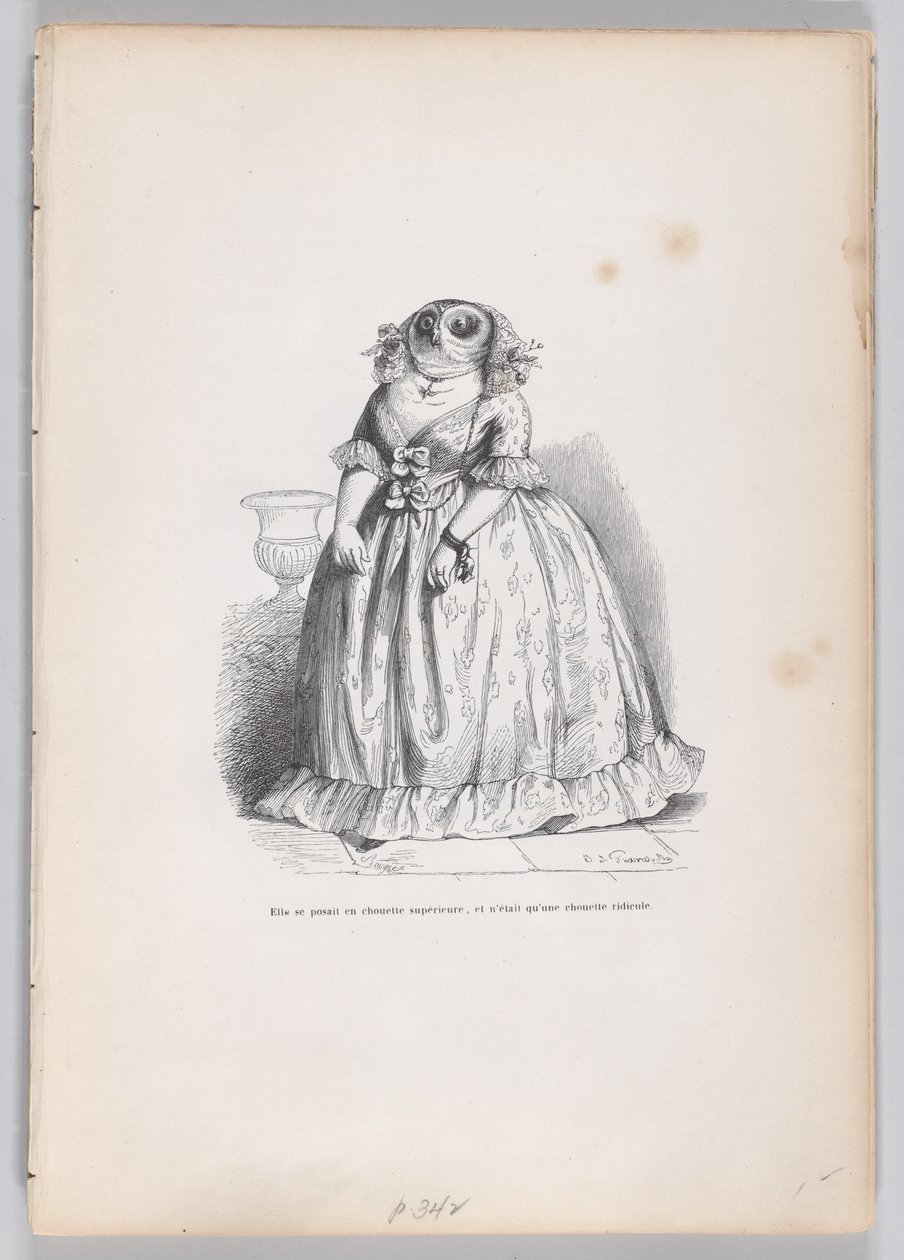 Představovala se jako nadřazená sova a byla to jen směšná sova ze Scenes z..., ca. 1837-47. od François Rouget