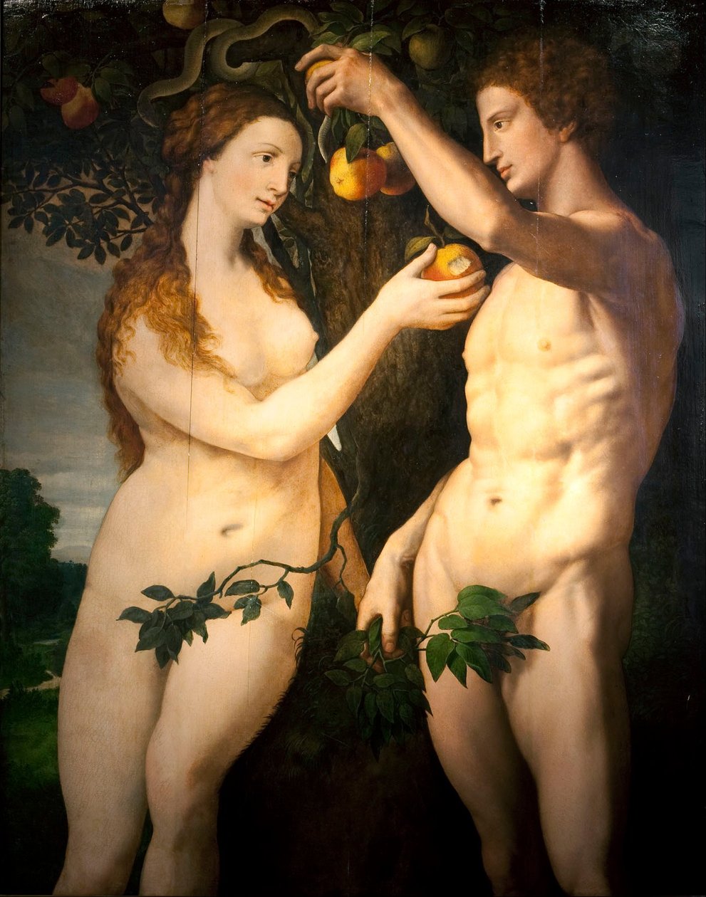 Pád člověka od Frans Floris