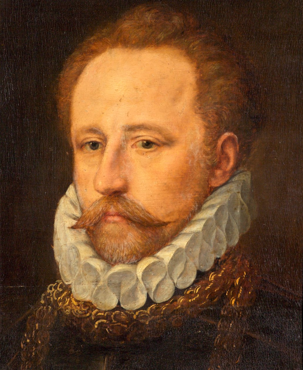 Portrét vousatého pána v brnění, kolem roku 1570 od Frans I Pourbus