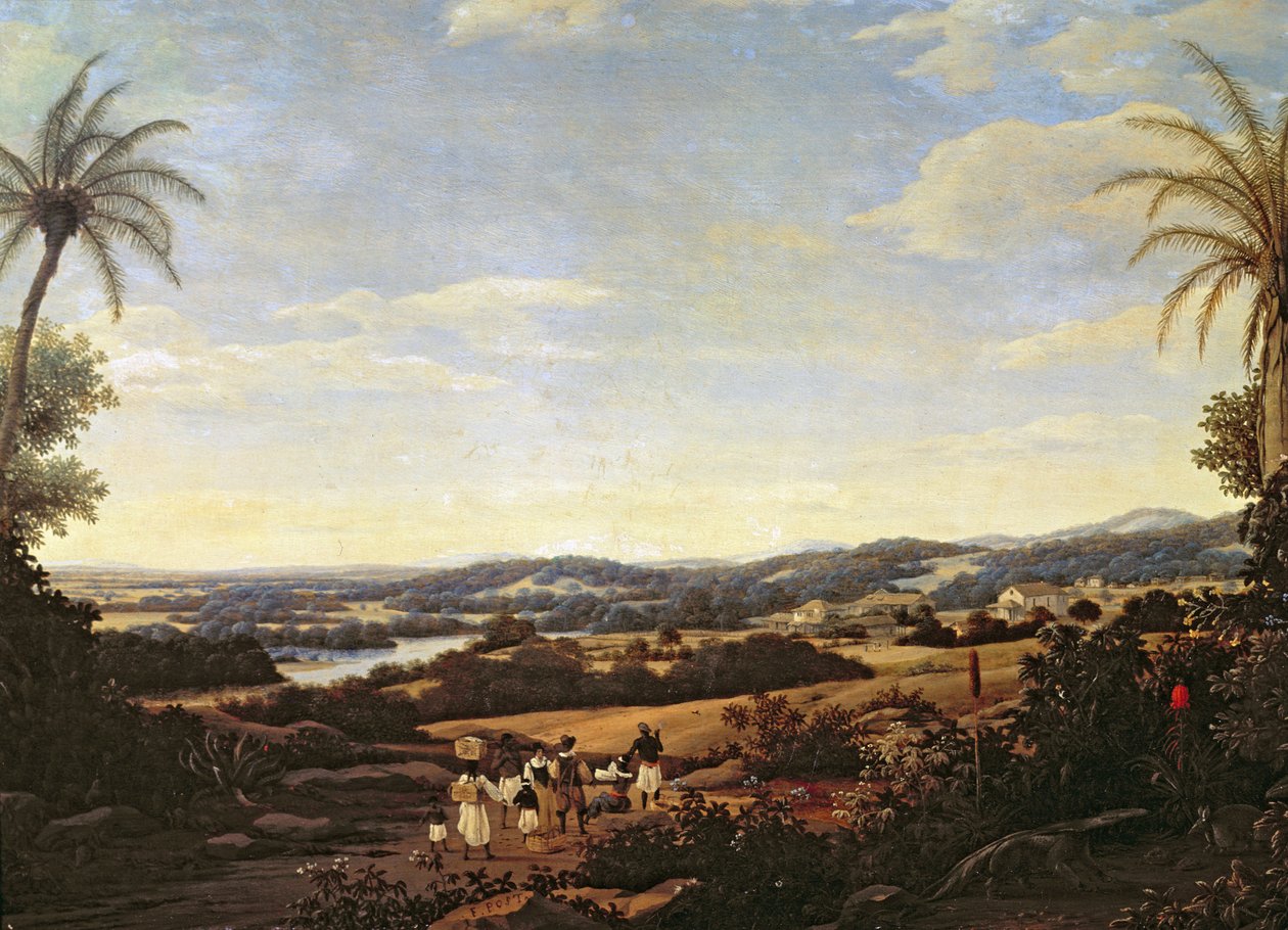 Brazilská krajina s plantáží od Frans Post