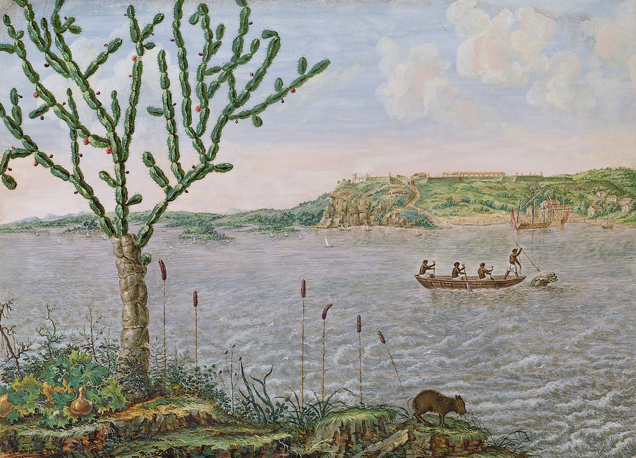 Pohled na Fort Maurice na Rio San Francisco (pero a inkoust a wc na papíře) od Frans Post