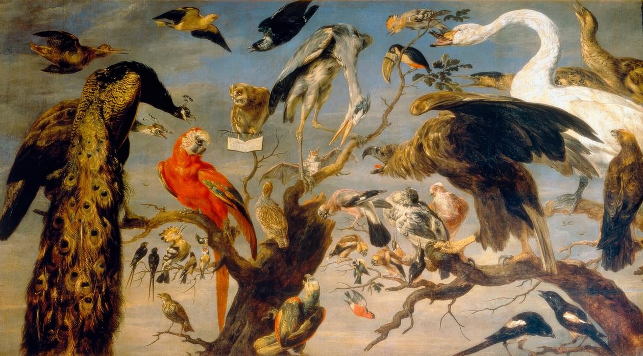 Ptačí koncert od Frans Snyders or Snijders