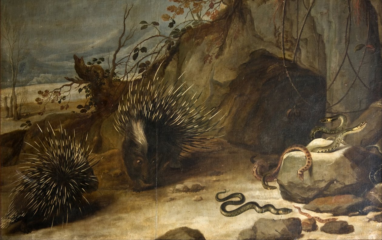 Dikobrazi a zmije od Frans Snyders or Snijders