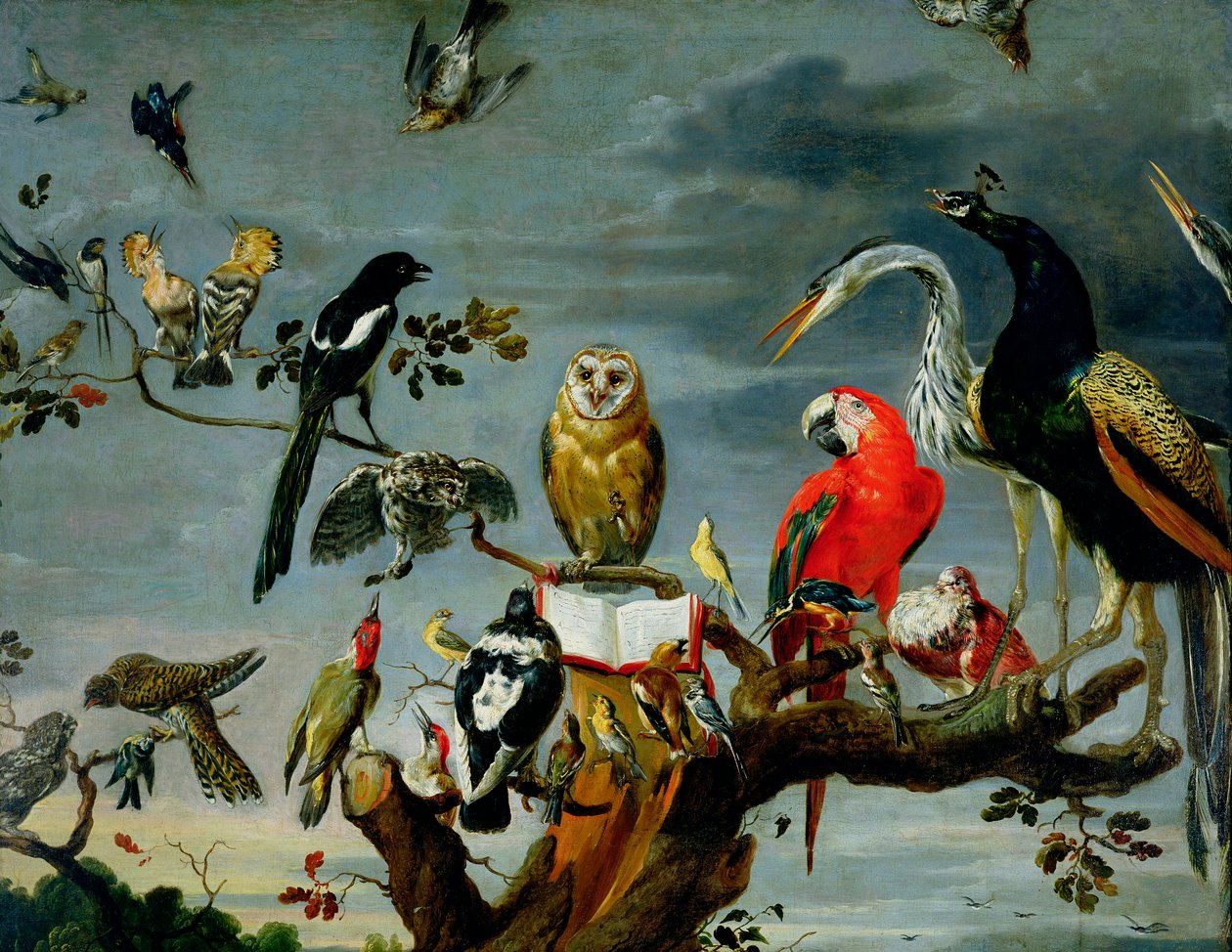 Koncert ptáků od Frans Snyders or Snijders