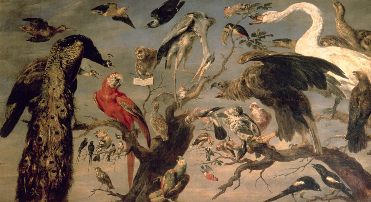 Ptačí koncert od Frans Snyders or Snijders