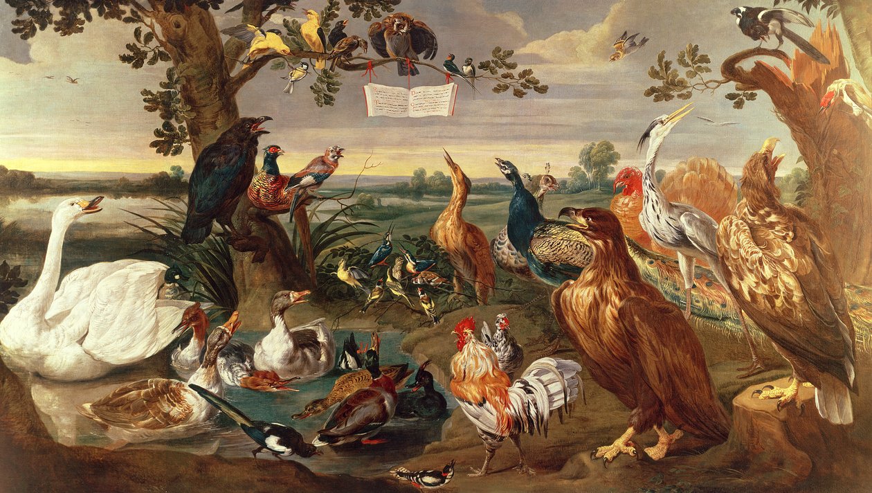 Různí ptáci od Frans Snyders or Snijders