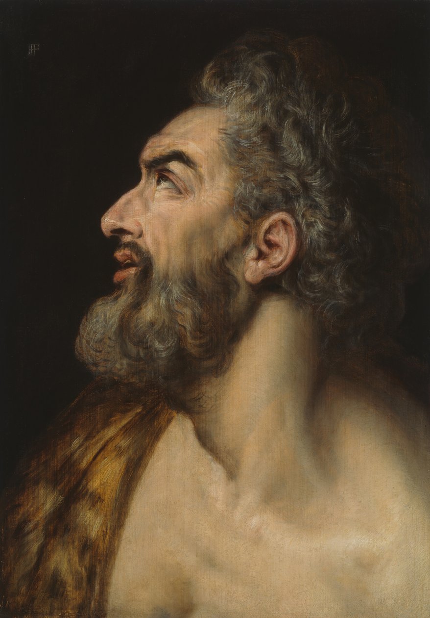 Studijní vedoucí vousatého muže, c. 1565. od Frans Floris