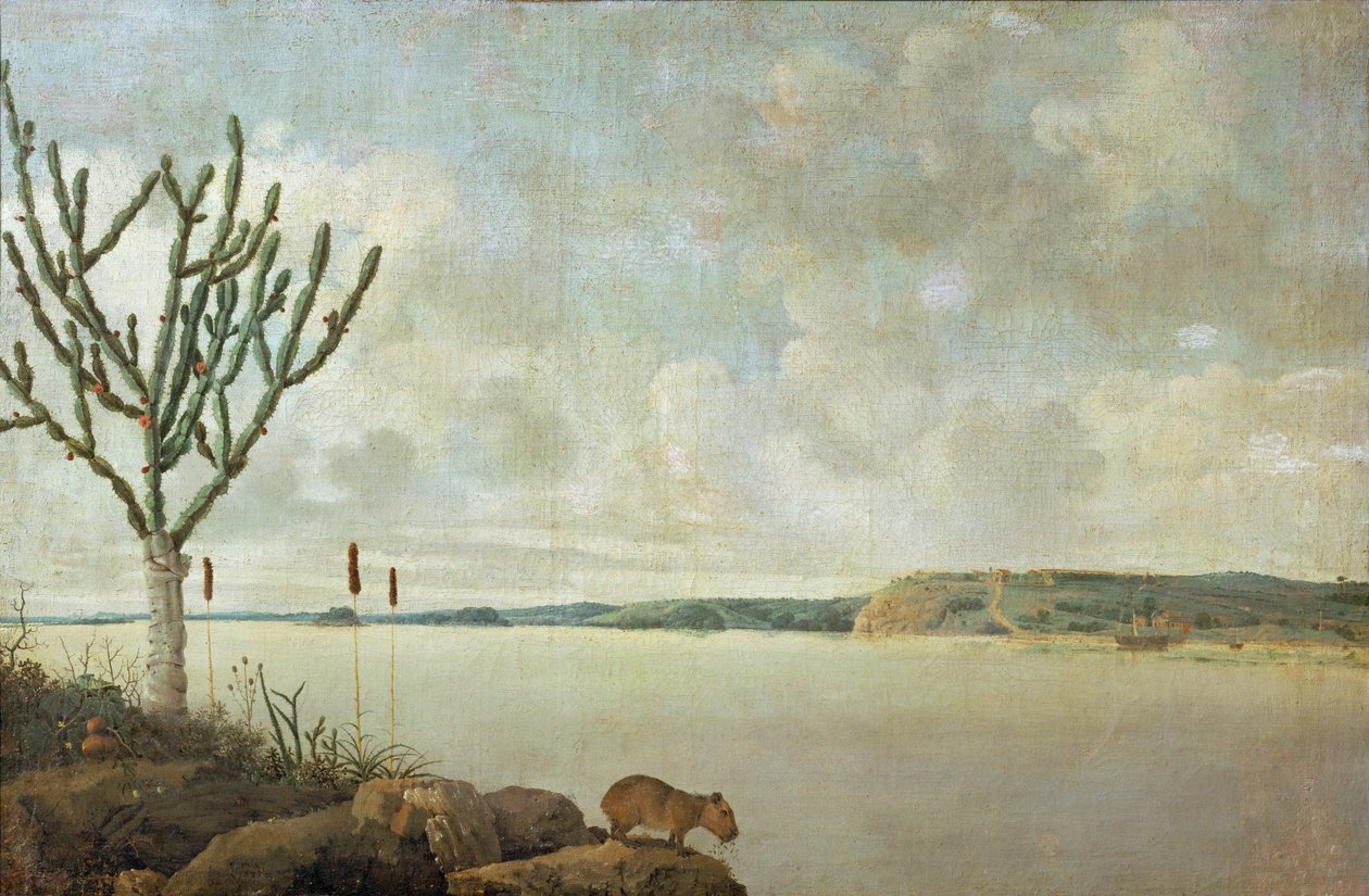 Le Rio Sao Francisco a pevnost Fort Maurice, Brazílie... od Frans Jansz Post