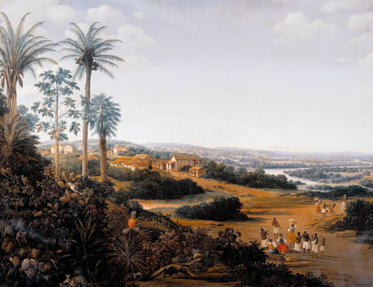 Vesnice Serinhaem v Brazílii aneb domov pěstitele cukrové třtiny v Brazílii (olej na plátně) od Frans Post