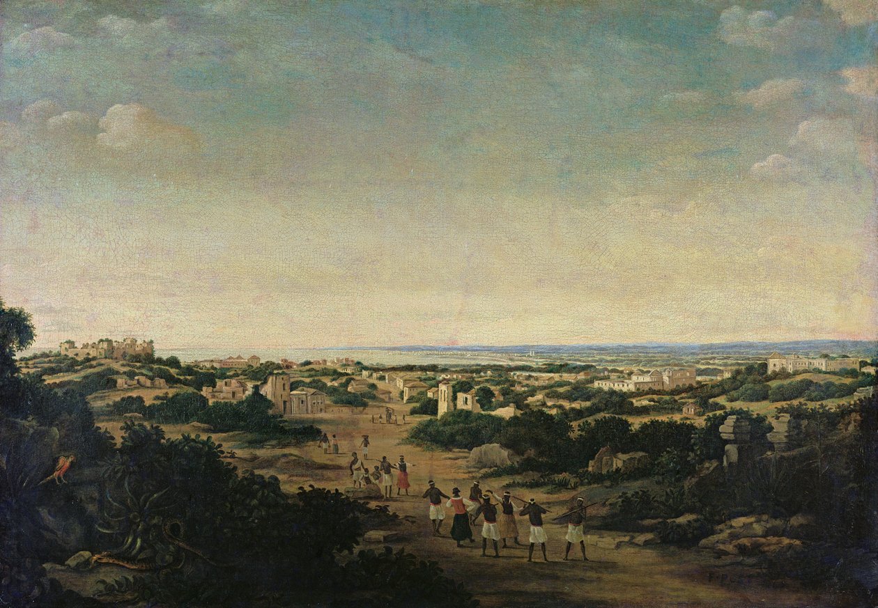 Neznámý obrázek od Frans Post