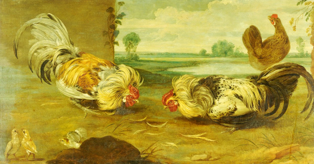 Kohoutí souboj od Frans Snyders or Snijders