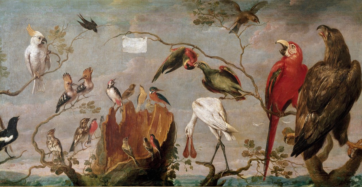 Ptačí koncert Malba od Franse Snyderse (Snijders) (1579-1657) Madrid 17. století, muzeum Prado od Frans Snyders