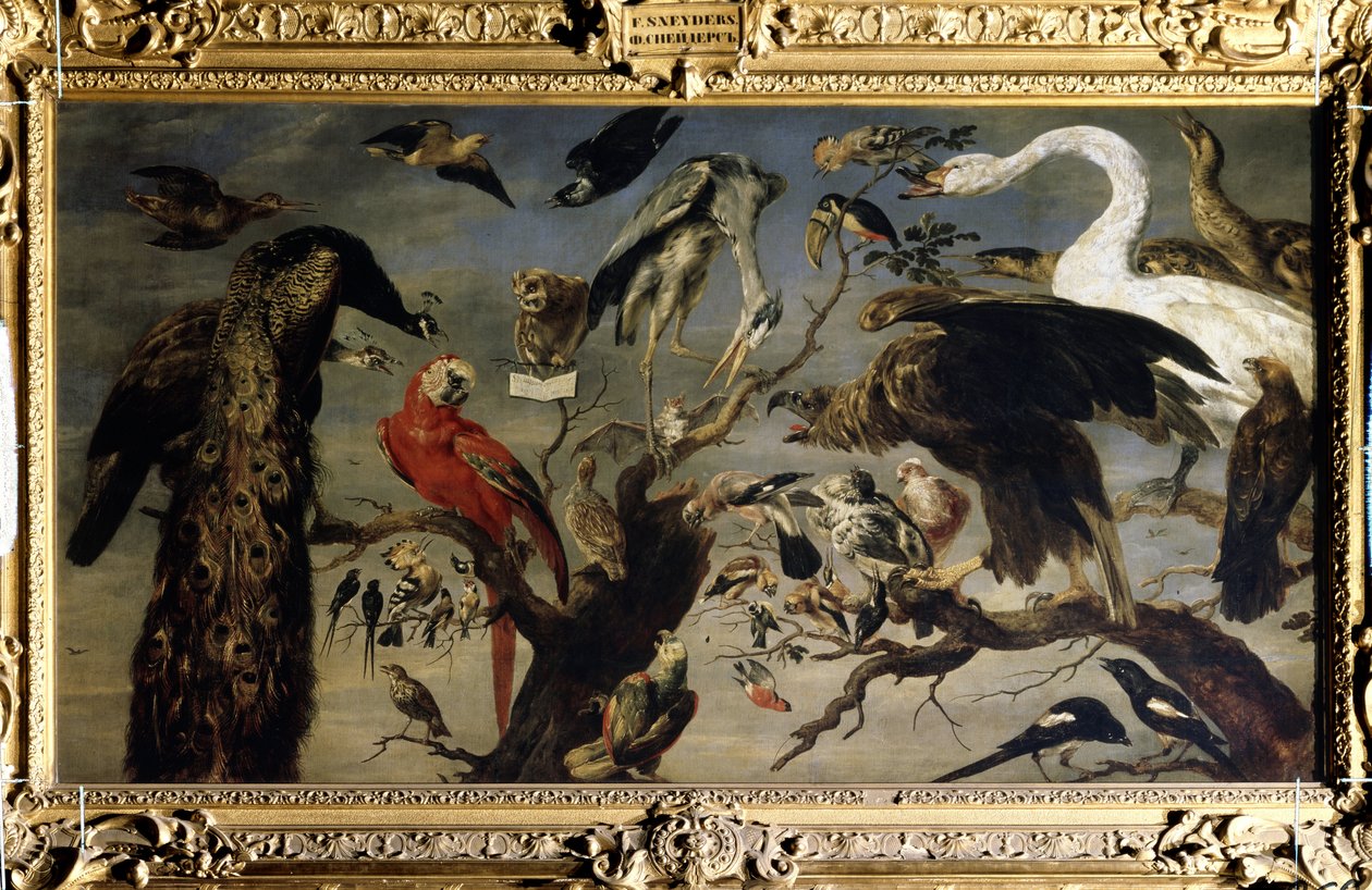 Koncert ptáků (Ptačí koncert). Obraz Franse Snyderse (1579-1657). Olej na plátně od Frans Snyders
