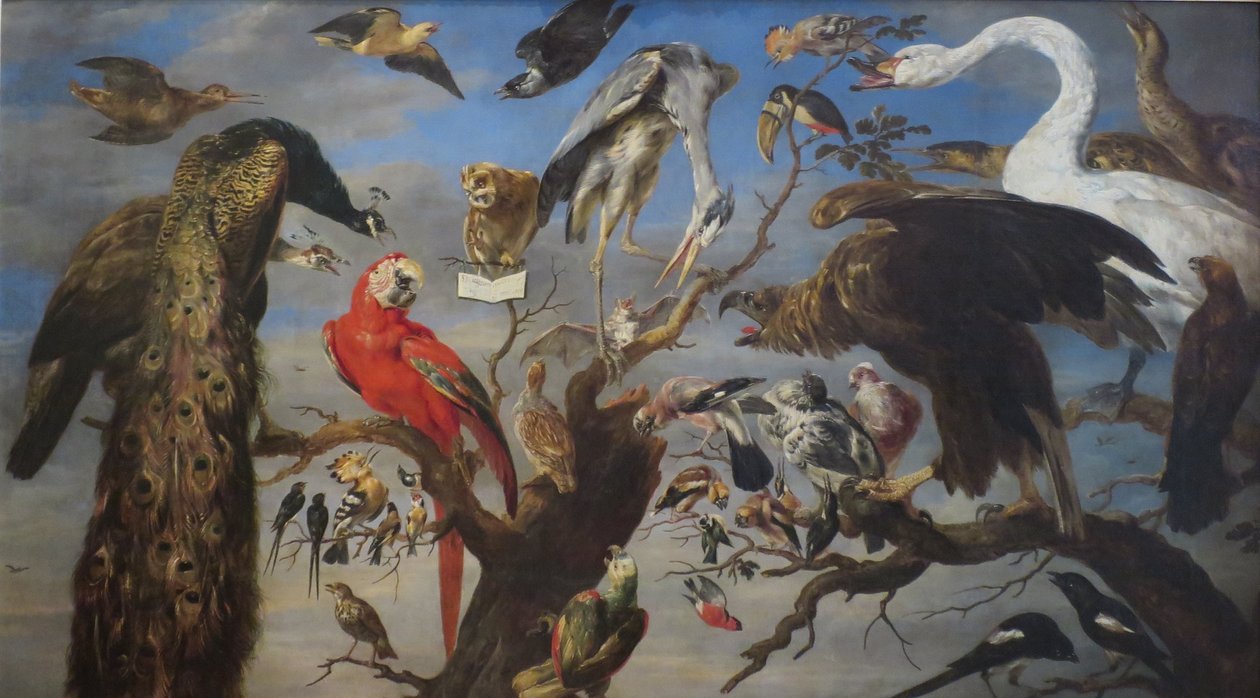 Ptačí koncert od Frans Snyders