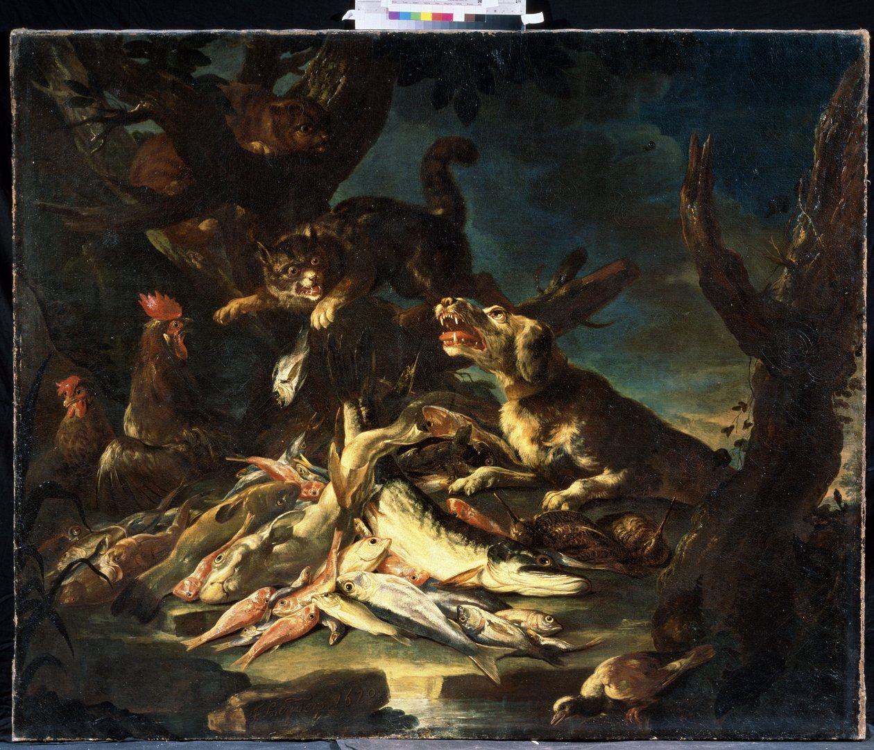 Ryby (ryby). Obraz Franse Snyderse (1579-1657). Olej na plátně od Frans Snyders or Snijders