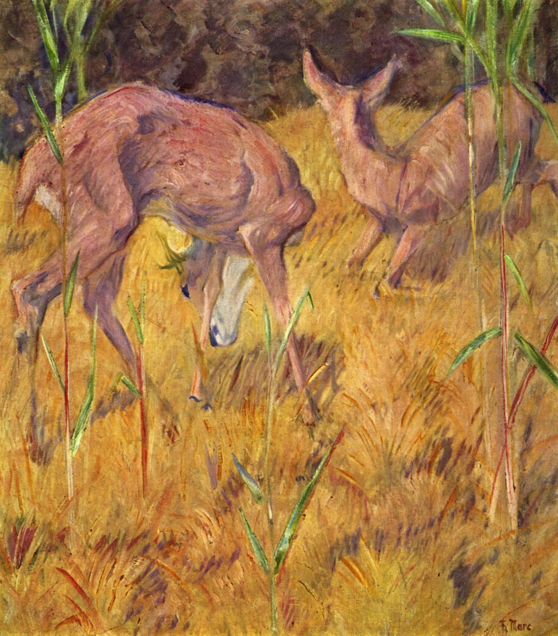 Jelen v rákosí od Franz Marc