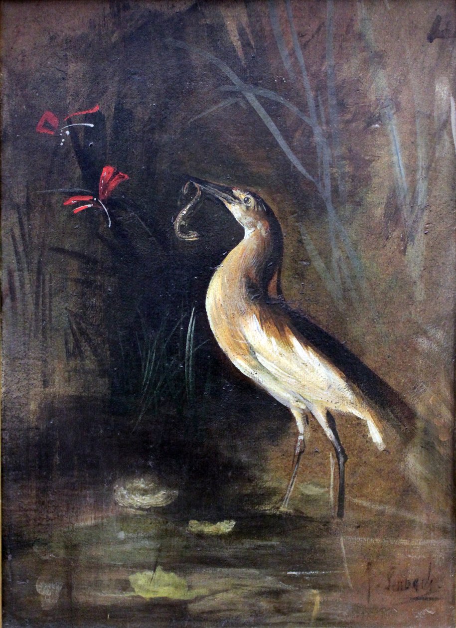 Heron a Salamandern Němci: Fischreiher und Salamandern Francais: Heron et Salamandern od Franz Seraph von Lenbach