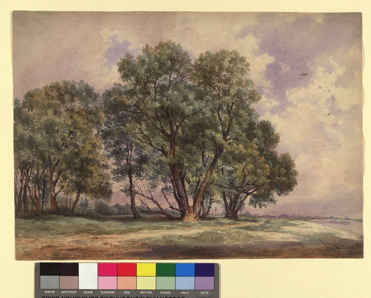Skupina stromů od Franz Alt