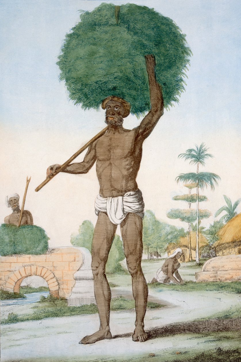 Hinduistický sluha sekání trávy, „Hinduisté nebo popis jejich způsobů, kostýmů a obřadů“, kolem 1808-12 (barevný lept) od Franz Balthazar Solvyns