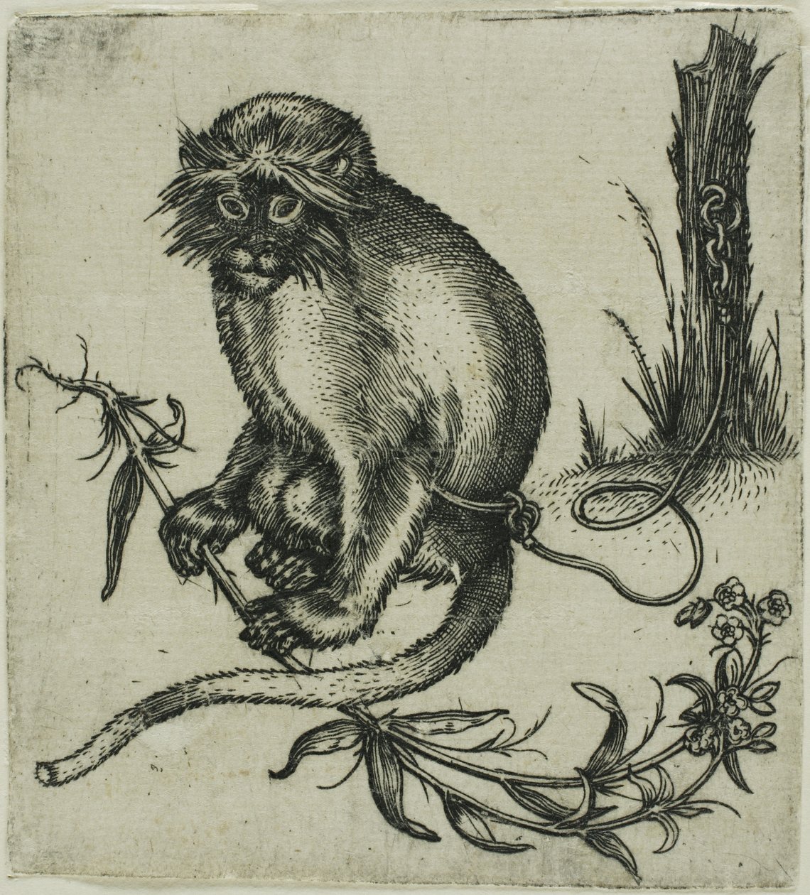 Spoutaná opice od Franz Brun