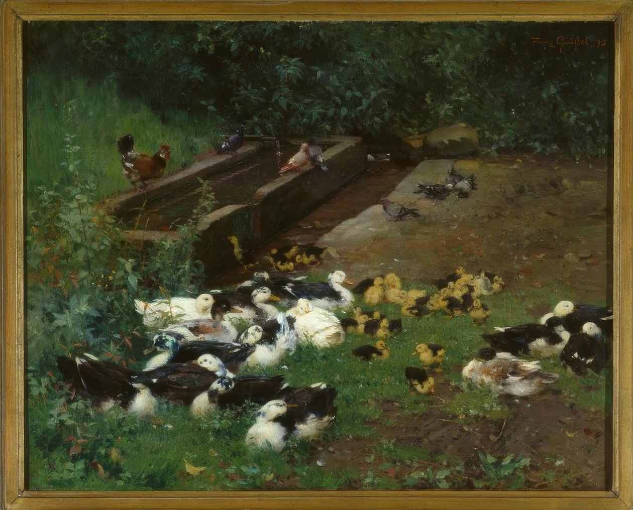 Entenfamilien od Franz Grassel