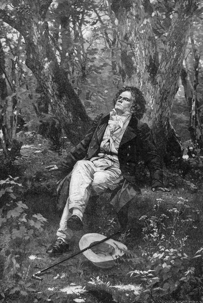 Beethoven, 1906 od Franz Hanfstaengl