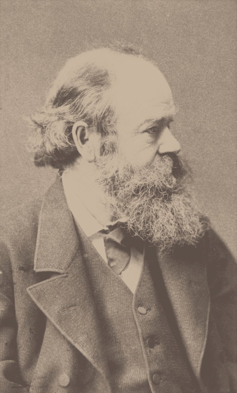 Portrét skladatele Roberta von Hornsteina 1833-1890. od Franz Hanfstaengl