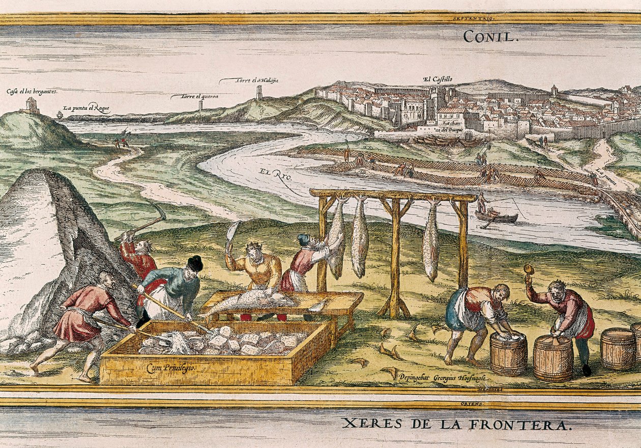 Conil de la Frontera, rybáři ryby suší, krájí, prodávají a balí do sudů na prodej, od "Civitatis Orbis Terrarum" od Franz Hogenberg