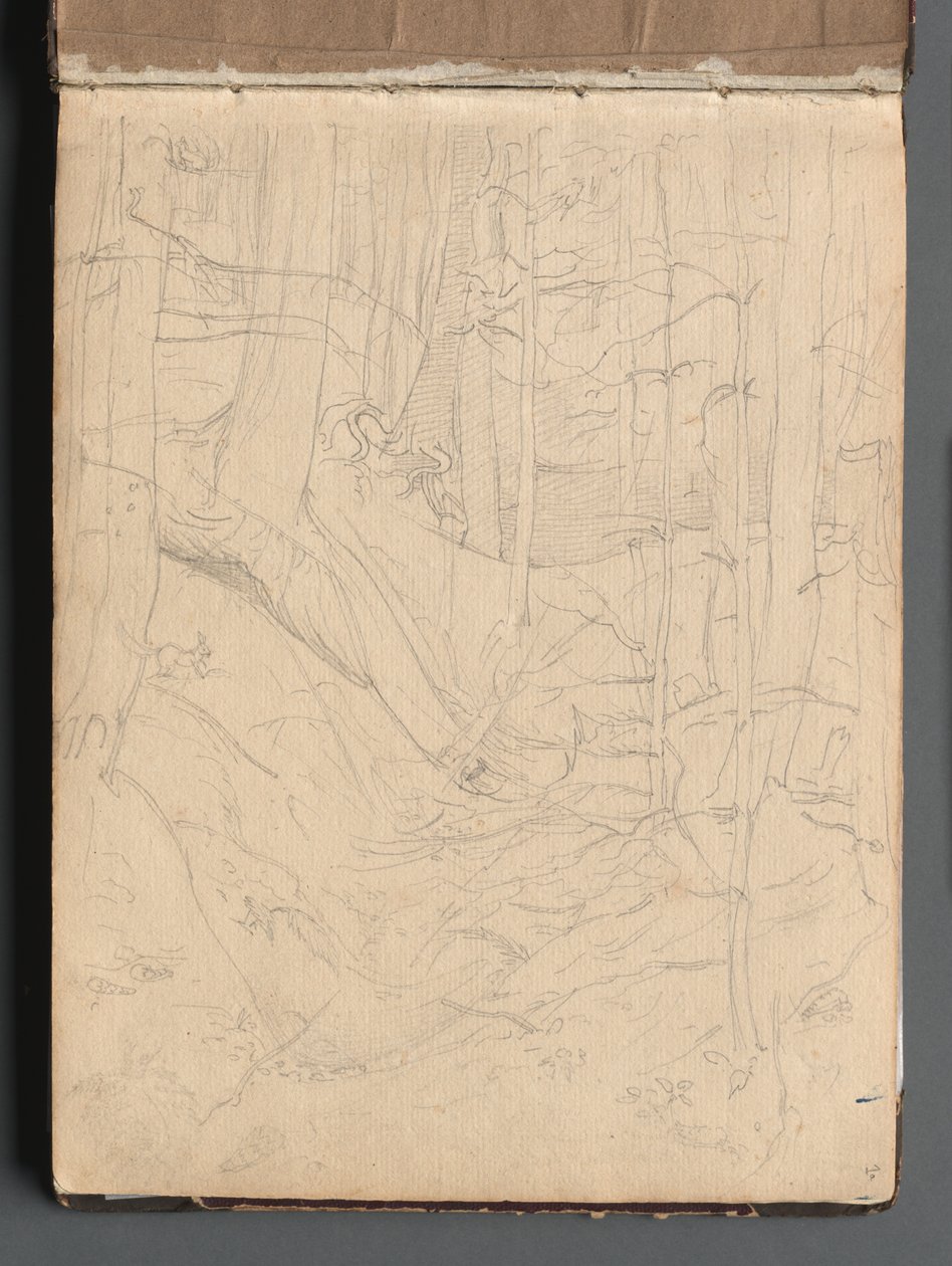 Album s Pohledy na Řím a okolí, Krajinářské studie, strana 01a: Římská krajina. od Franz Johann Heinrich Nadorp