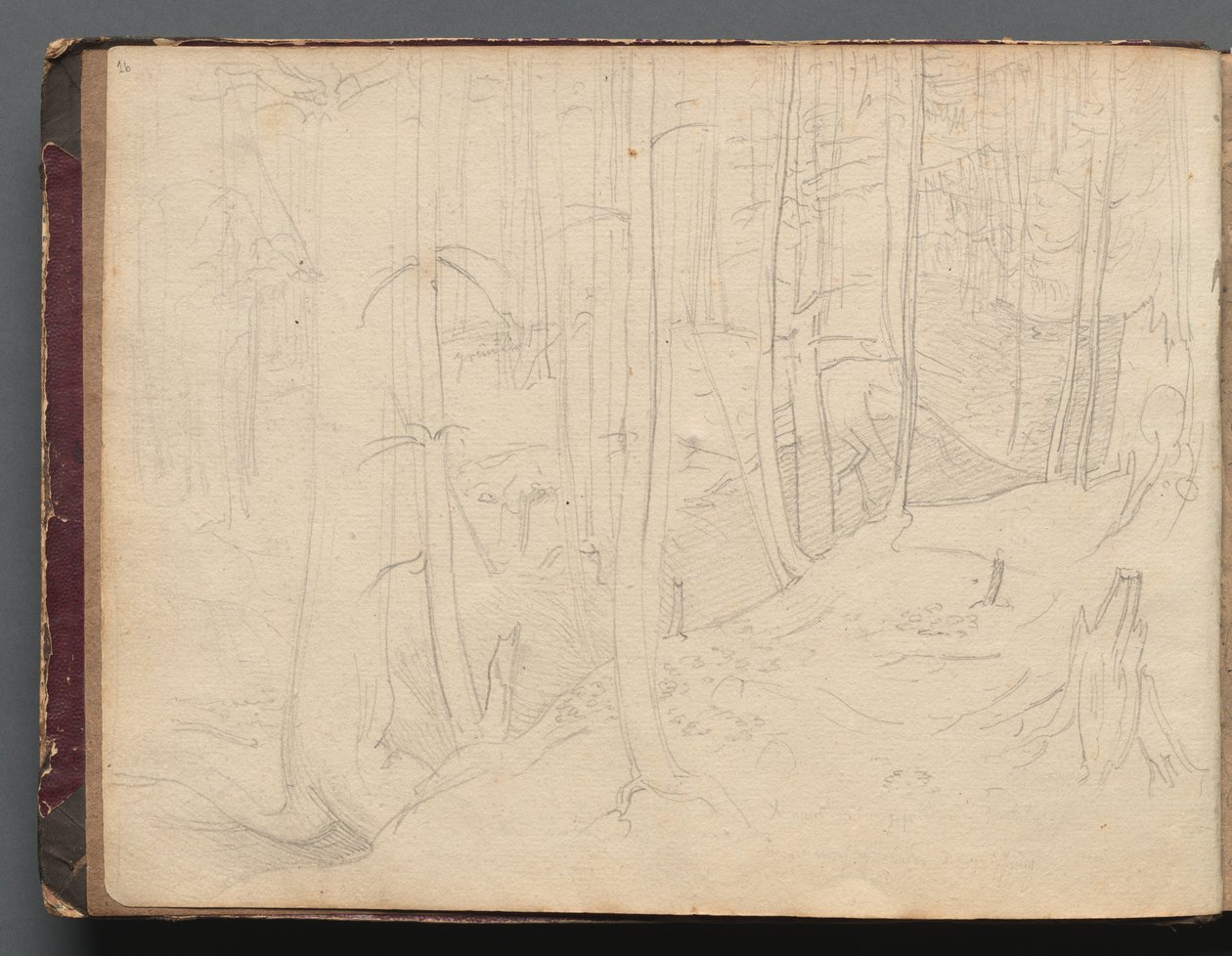 Album s Pohledy na Řím a okolí, Krajinářské studie, strana 01b: Římská krajina. od Franz Johann Heinrich Nadorp