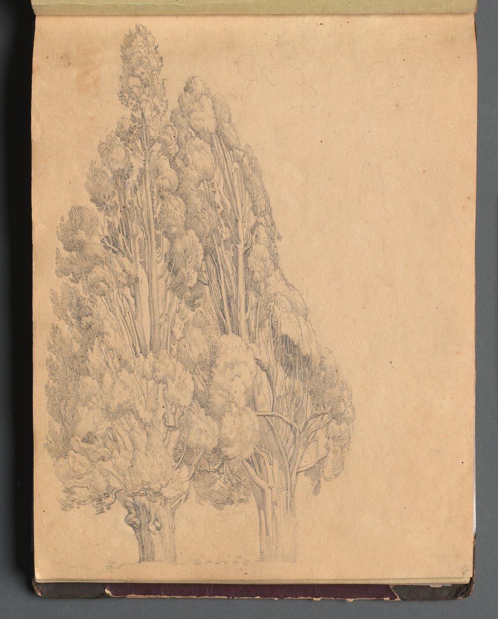 Album s Pohledy na Řím a okolí, Krajinářské studie, strana 13a: Stromy. od Franz Johann Heinrich Nadorp