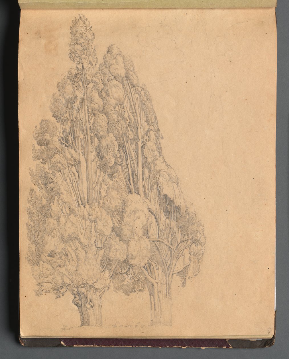 Album s Pohledy na Řím a okolí, Krajinářské studie, strana 13a: Stromy od Franz Johann Heinrich Nadorp