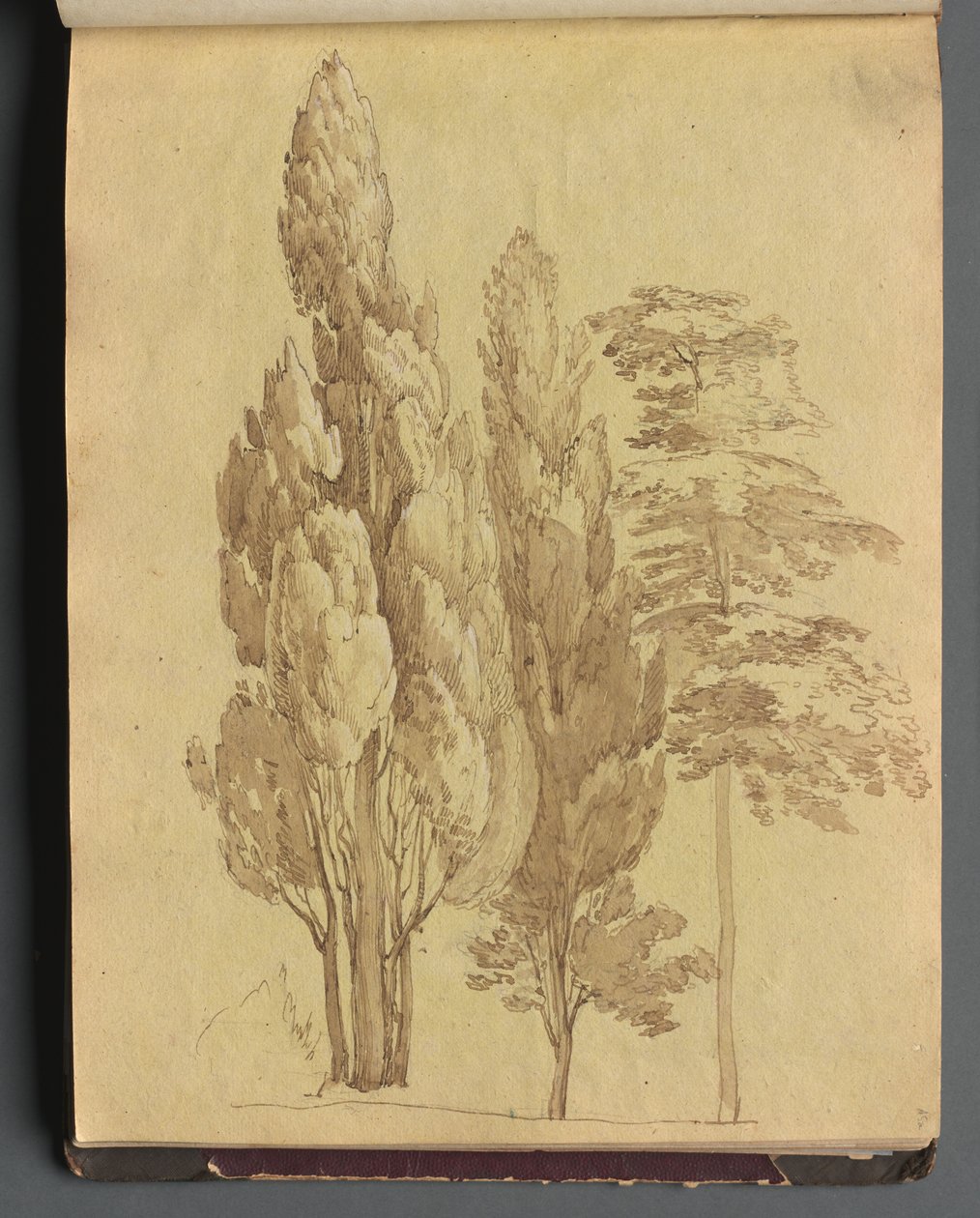 Album s Pohledy na Řím a okolí, Krajinářské studie, strana 15a: Stromy. od Franz Johann Heinrich Nadorp