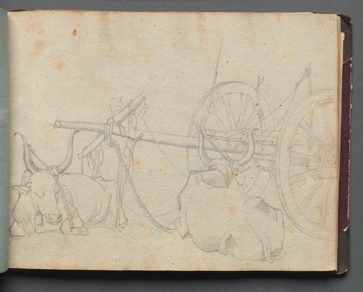 Album s Pohledy na Řím a okolí, Krajinářské studie, strana 37a: Voli a vůz. od Franz Johann Heinrich Nadorp