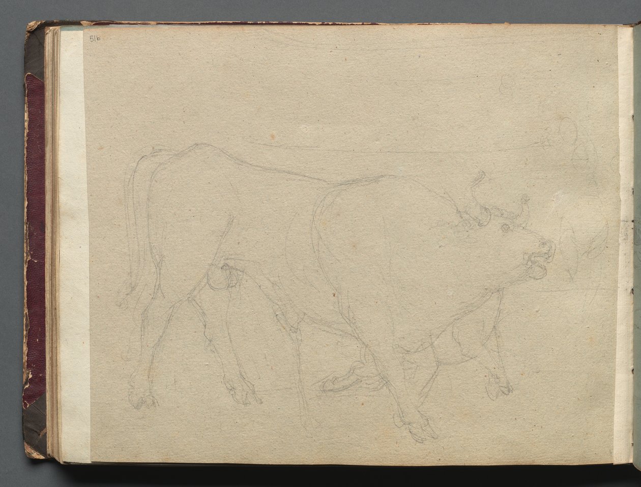 Album s Pohledy na Řím a okolí, Krajinářské studie, strana 51b: Studie u býka. od Franz Johann Heinrich Nadorp