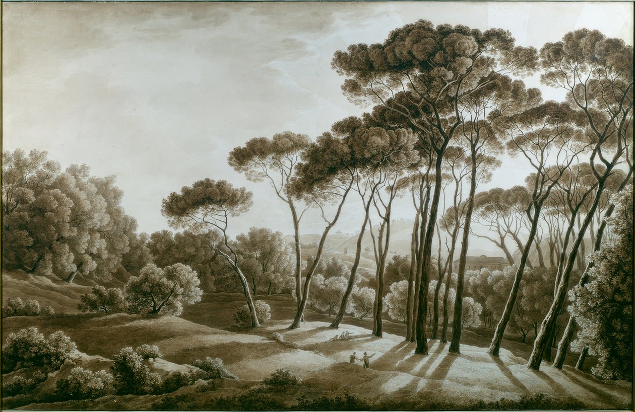 Borovice ve vile Doria Pamphili od Franz Kaisermann