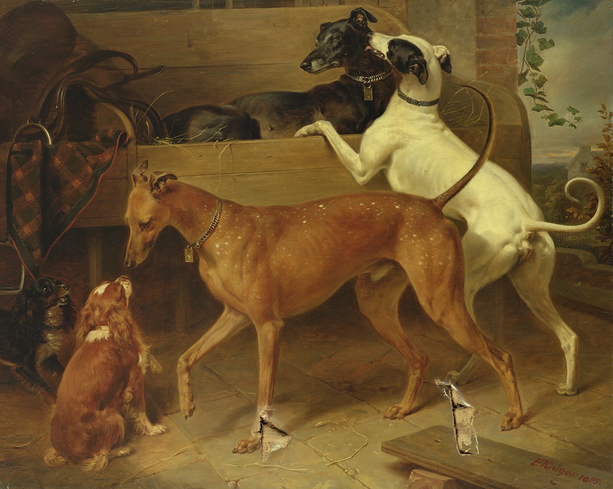 Krugers Dogs, 1855 od Franz Krüger