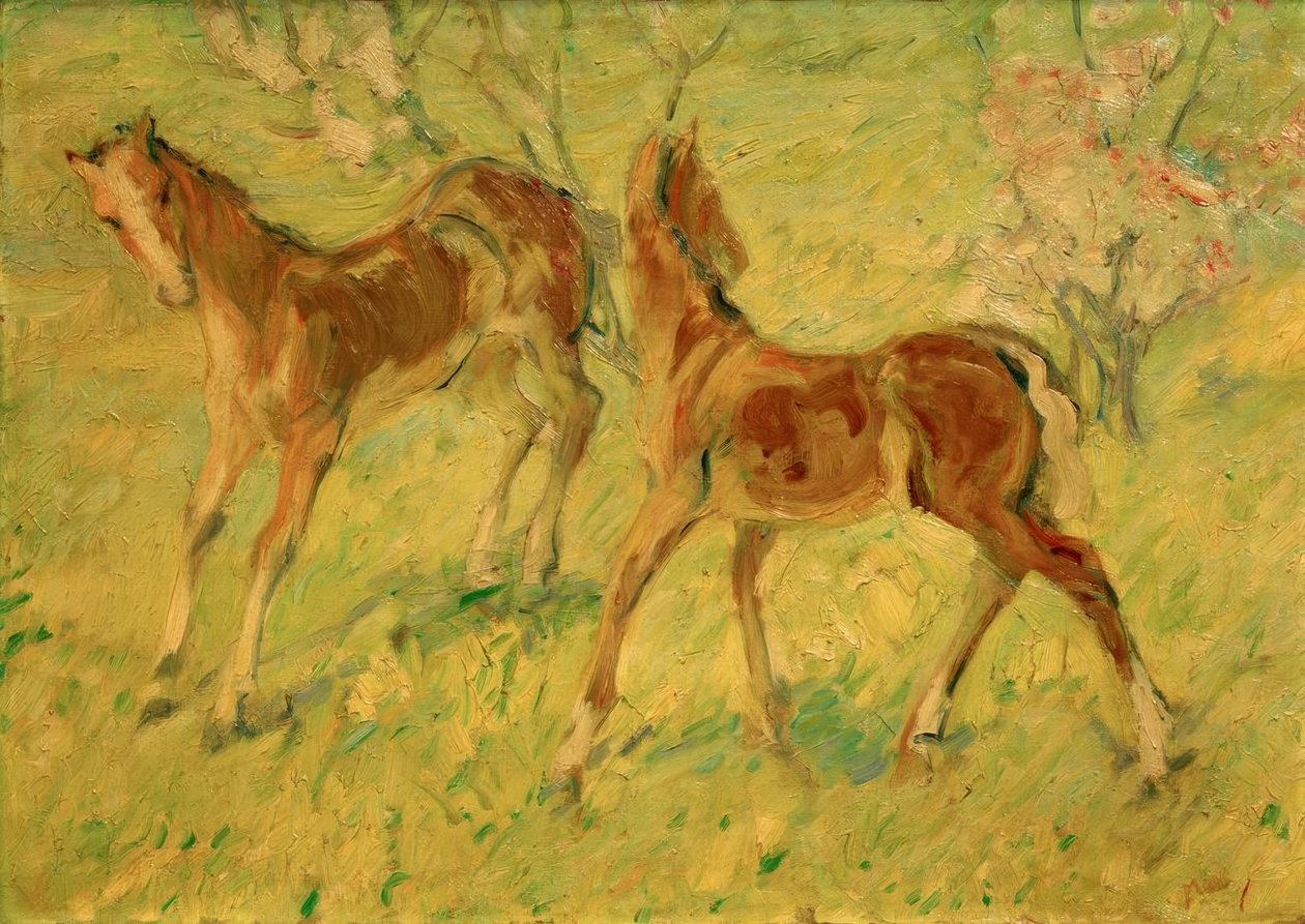 Hříbata na pastvě (skákající hříbata) od Franz Marc