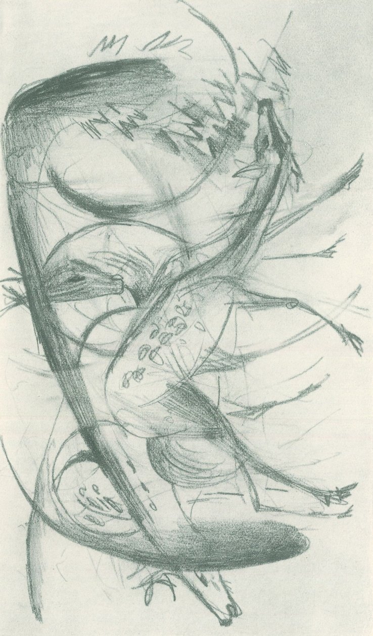 Franz Marc - Skicák z terénu - List 36 od Franz Marc